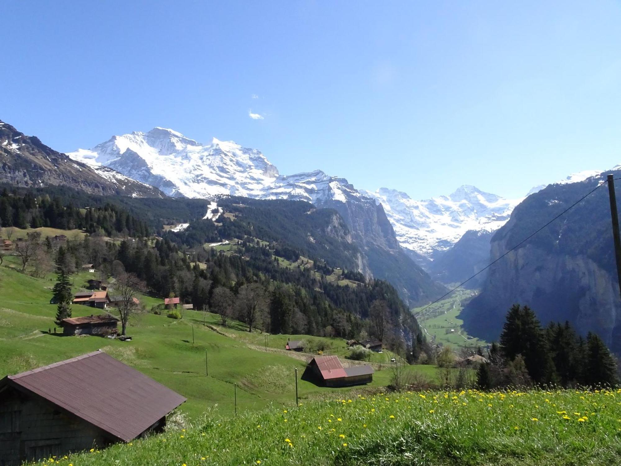 Chalet Alpina Gyger Wengen Exterior foto
