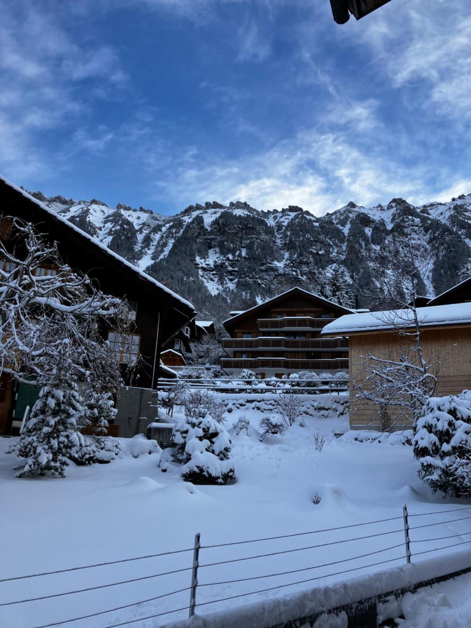 Chalet Alpina Gyger Wengen Exterior foto